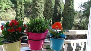 Апартаменты SVETI STEFAN SVETLANA Свети-Стефан Апартаменты с 3 спальнями-32